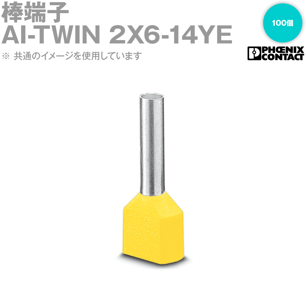 ai-twin-2x6-14ye-100-14mm-sn-angel-ham