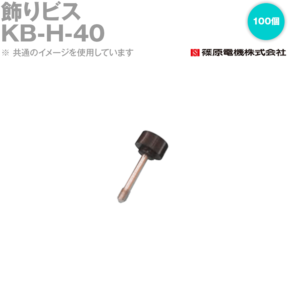 篠原電機 KB-H-40 100個 飾りビス ROHS IE