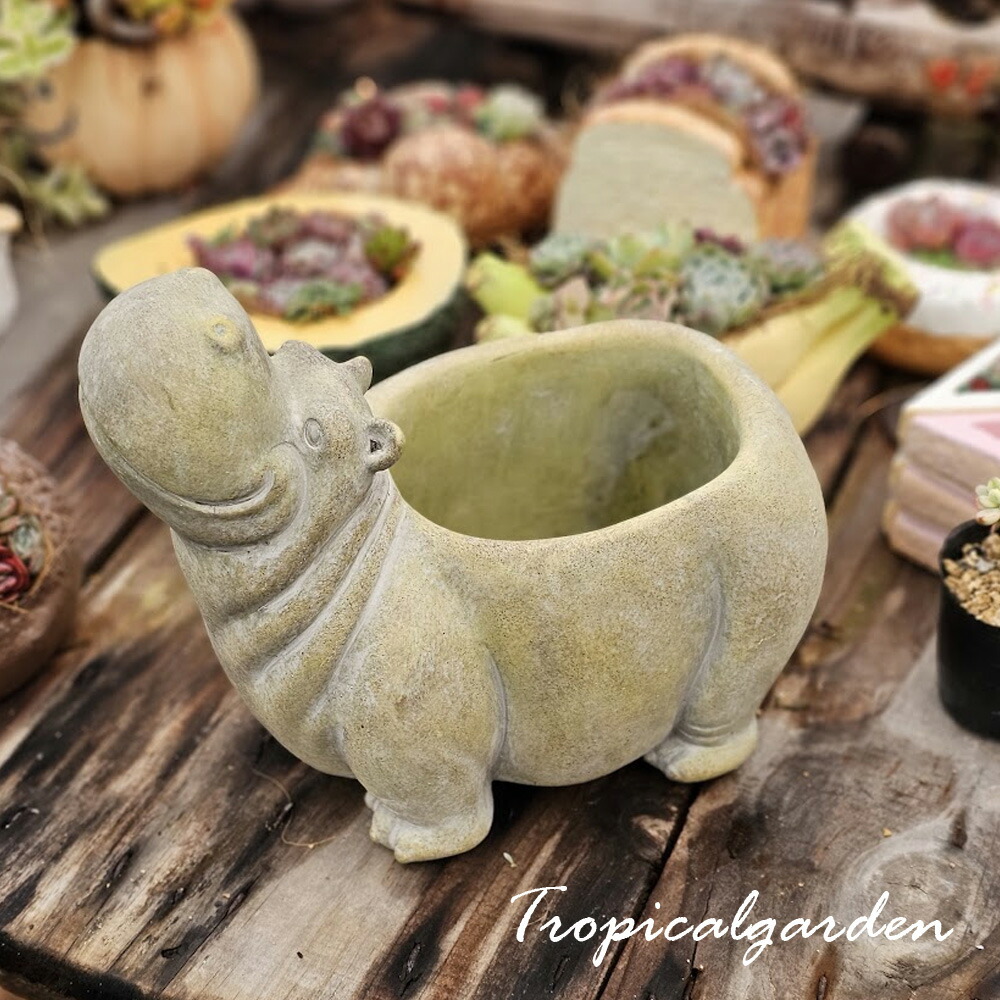 楽天市場】植木鉢 おしゃれ CARNAC/シャンタルフルーツフレーズA/LC028