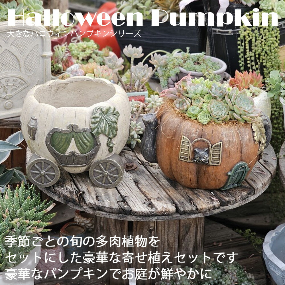 楽天市場】【1等最大100%ポイントバック】2025.9.19販売分