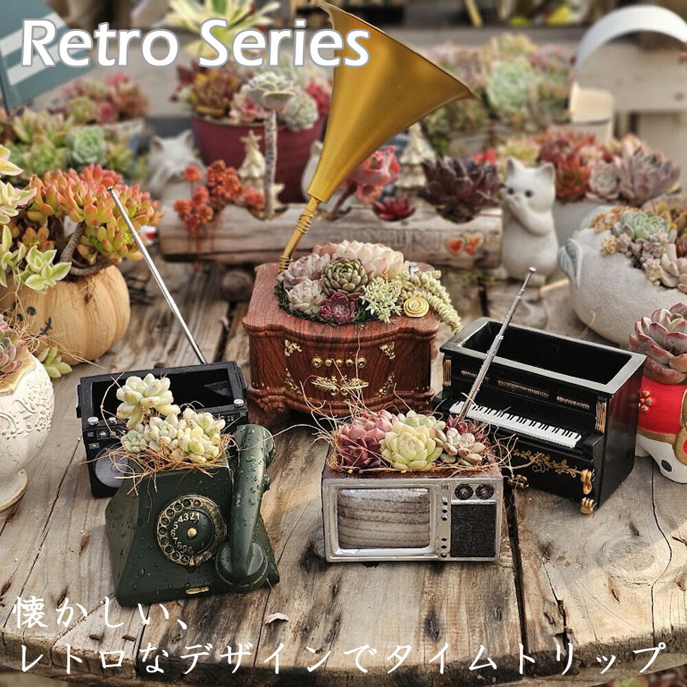 楽天市場】【1等100%ポイントバック】【目玉品】A~B品 箱詰め