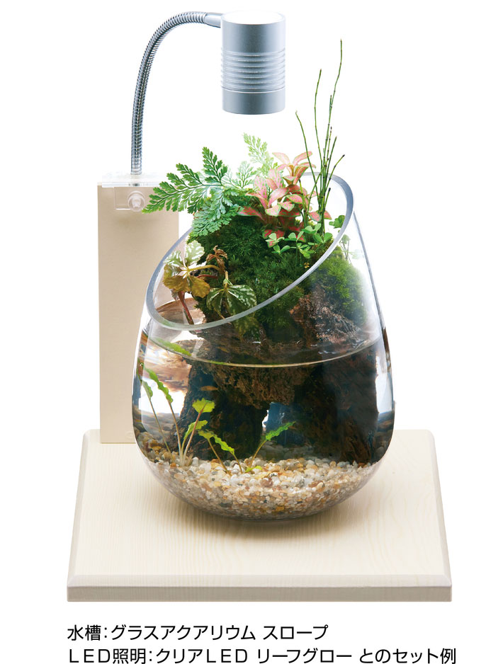 ｇｅｘ 22年のクリスマスの特別な衣装 グラスベース ホワイトアッシュ２００ ライトスタンド付 小型水槽台