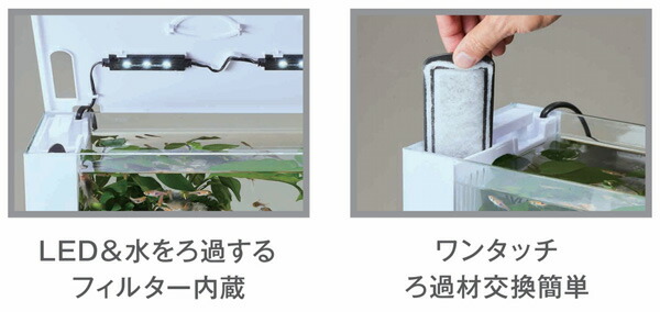 楽天市場 ｇｅｘ ラクテリア ホワイト ｌｅｄ フィルター付 オールインワン水槽セット トロピカルワールド楽天市場店