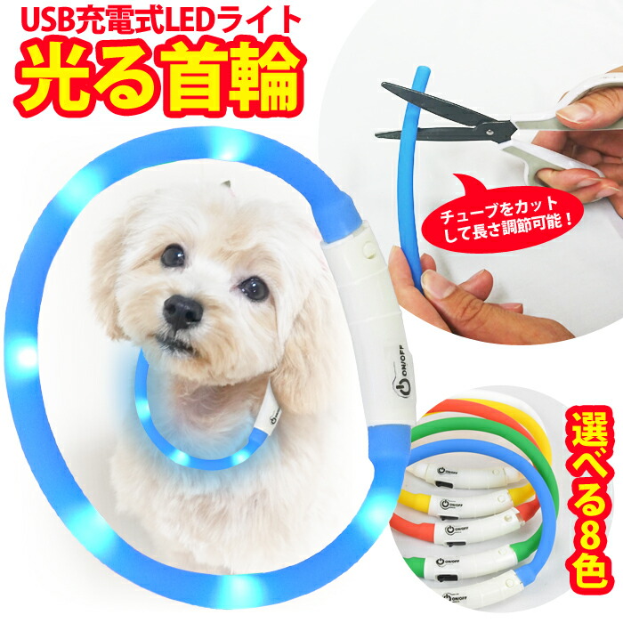 経典ブランド 首輪 光る首輪 LED USB充電式 ライト 小型犬 中型犬 大型犬 長さ調節可能 散歩 さんぽ 夜 よる 光る ひかる点滅 点灯  ペット 安全 事故防止 ランニング ウォーキング 自転車 カバン 猫 ベビーカー 子供 douniakhalil.agencewebtasnim.fr