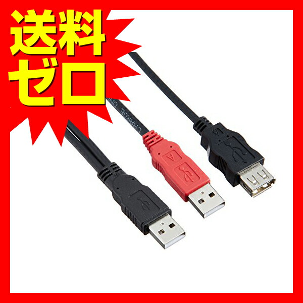 エレコム Y字Wパワーケーブル Aメス USB-AAE5DPBK USB2.0 簡易パッケージ 休日 USB2.0