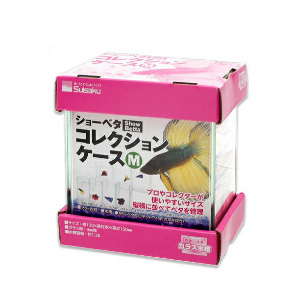 楽天市場】ショーベタ コレクションケース M サイズ 水槽 小型
