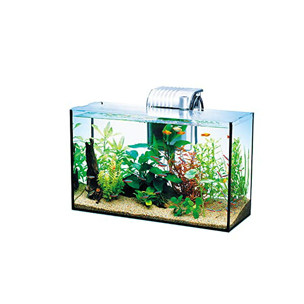 【3個セット】 スペクトラムブランズジャパン テトラ Tetra ガラス 水槽 オールグラスアクアリウム GA-420F 水槽熱帯魚メダカ金魚 熱帯魚・観賞魚 スペクトラム 水槽セット ペット用品 照明器具 ジャパン 熱帯魚 ブランズ 観賞魚 グッズ ペティオ ペット 安心素材