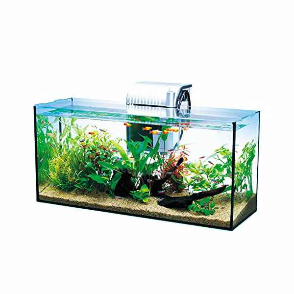 【3個セット】 スペクトラムブランズジャパン テトラ Tetra ガラス 水槽 オールグラスアクアリウム GA-600F 水槽アクアリウム 熱帯魚 メダカ 金魚 熱帯魚・観賞魚 アクアリウム用品 水槽セット アクアリウム 照明器具 観賞魚 グッズ ペット 淡水 安心素材 12,519円