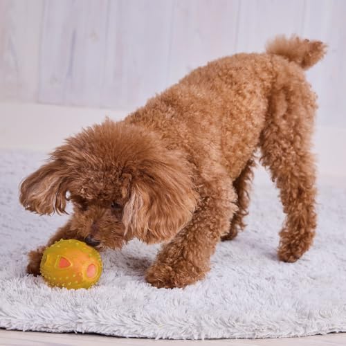 【6個セット】 ペティオ プロショップ事業部 犬用おもちゃ Enjoy!かむボール ラグビー