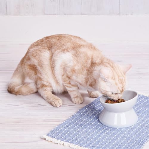 【8個セット】 ペティオ プロショップ事業部 犬猫用食器 手前が低くて食べやすい脚付き食器 S