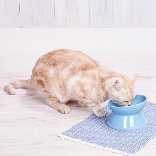 【8個セット】 ペティオ プロショップ事業部 犬猫用食器 手前が低くて食べやすい脚付き食器 M