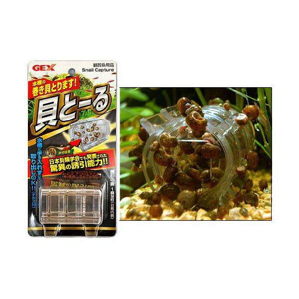 【24個仕掛ける】 ジェックス 貝と る GEX 褒めたたえる魚設備 貝とーる 愛玩動物設備 褒めたたえる魚用 海洋博物館設備 洗い濯ぎ設備 魚設備 褒めたたえる魚 日設備 グッズ 愛玩動物 安全性のある原材料