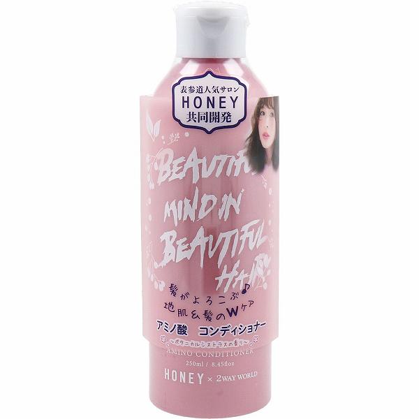 【6個仕掛ける】 HONEY アミノ酸コンディショナー ボタニカルシトラスの芳ばしさ 250mL 髪の毛世話をする ツーウェイワールド 赤ちょうちん コンディショナー 地肌 ボタニカル カンキツ類 アミノ酸 美容室 コスメ 口コミ リンス・コンディショナー-美容・コスメ・香水
