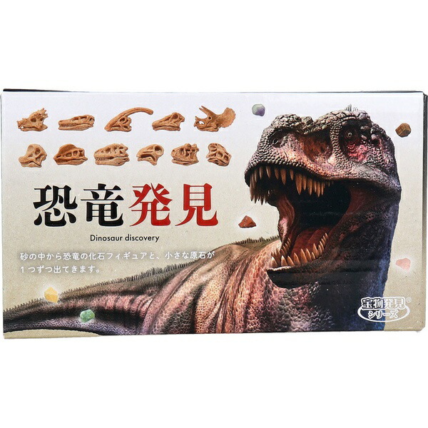 【5個セット】 遊んで学べる科学おもちゃ 宝物発見シリーズ 恐竜発見 1セット
