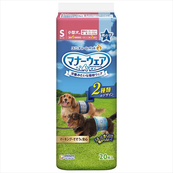 【12個仕掛ける】 折りかがみお召しものお坊っちゃん用S青