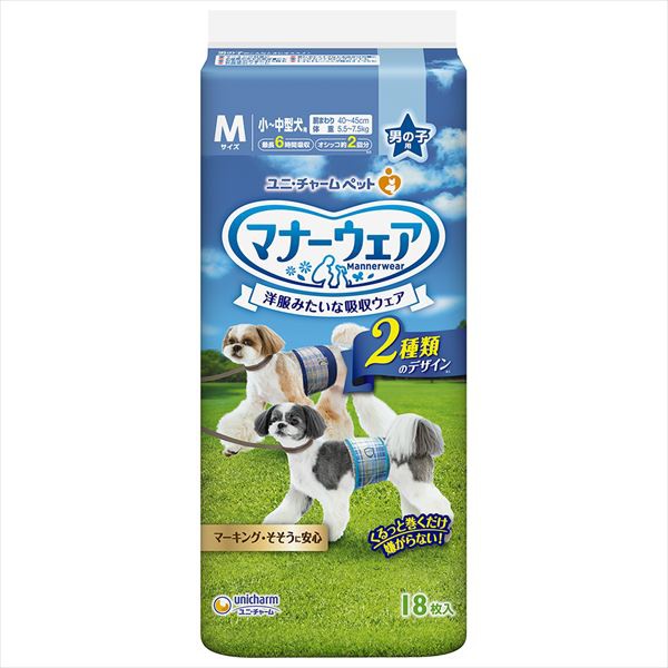 【12個仕掛ける】 折りかがみお召しものお坊っちゃん用M青