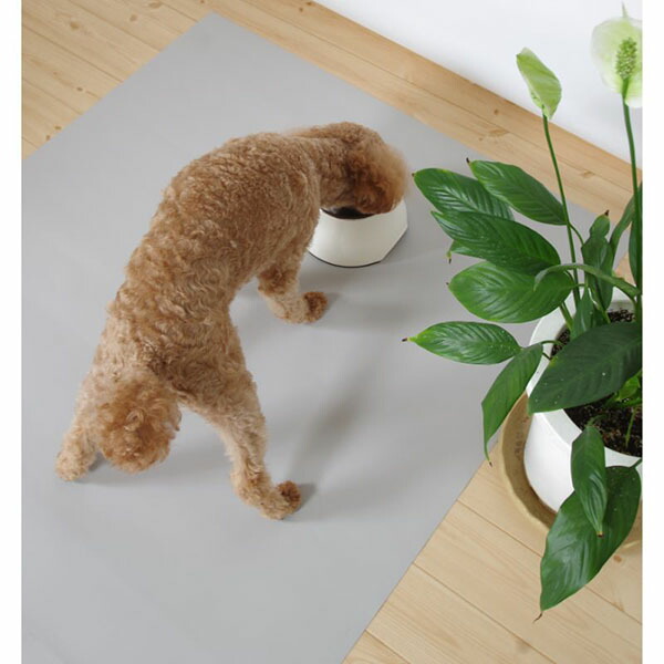 【12個書き割り】 三愛衣料繊維 コンフィマルチシート 115×80 薄墨色 年がしら犬 上滑り打ちきり 座布団 老いらく犬 腰掛け 愛玩動物用 滑らない 猫 赤銅色 飼い犬 国産 日本製 介護 引っ敷き 雨合羽 無地 中型犬 愛玩動物 犬用 ねばり着く 大型犬 老犬 老いらく 小型犬 猫用 老猫 楽になること原料品
