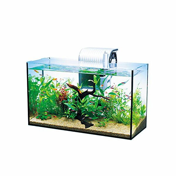 【3個セット】 スペクトラムブランズジャパン テトラ Tetra 水槽 オールグラスアクアリウム GA-520F 水槽アクアリウム 熱帯魚 メダカ 金魚 熱帯魚・観賞魚 スペクトラム 水槽セット アクアリウム 照明器具 ジャパン ブランズ 観賞魚 グッズ ペティオ ペット 安心素材