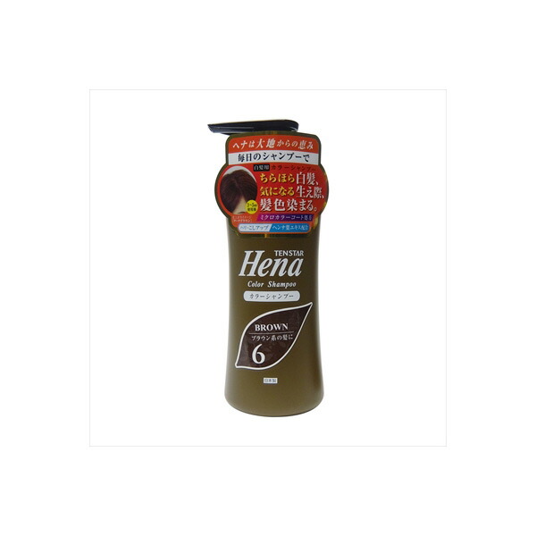 【24個仕掛ける】 テンスターカラーシャンプーDBR 300ML 三宝商事 髪の毛色合い・白髪用