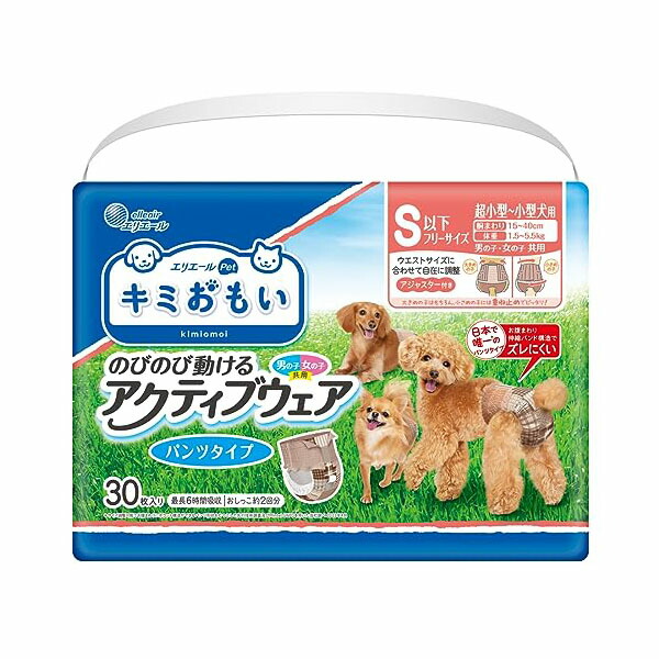 【12個仕掛ける】 大王製紙 キミおもい 積極的お召しもの SSS-S 30枚 楽になること原料品