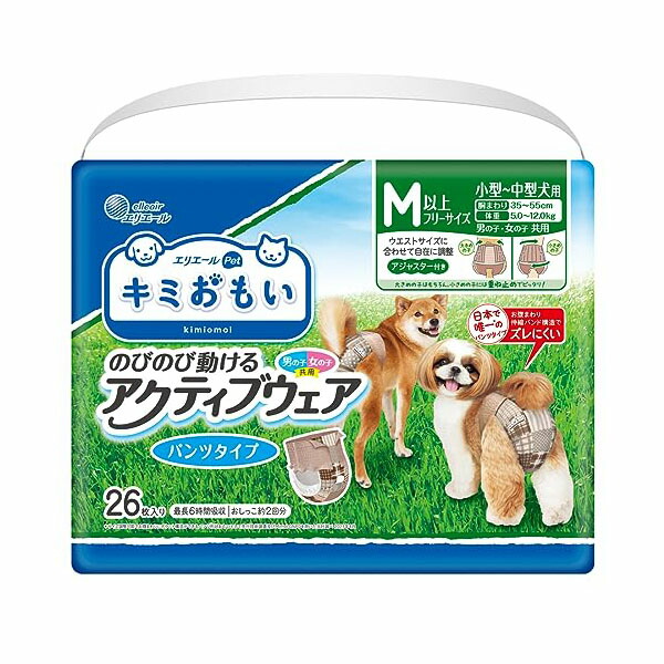 【12個仕掛ける】 大王製紙 キミおもい 積極的お召しもの M-L 26枚 楽になること原料品