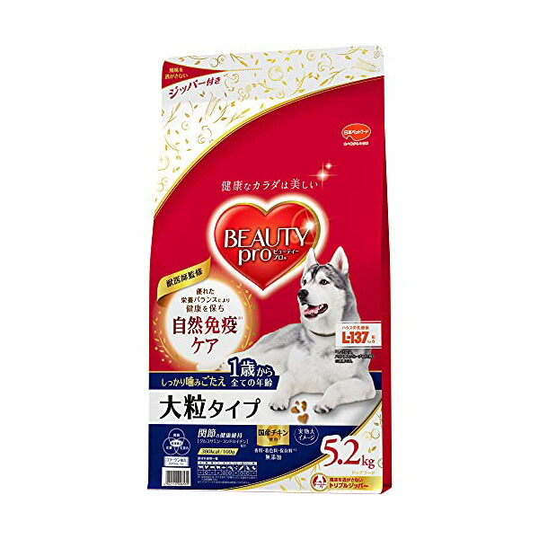 【3個仕掛ける】 日本愛玩動物ボンネット もの言う花労働者階級 飼い犬 大粒 手合い 1歳から 5200g 楽になること原料品