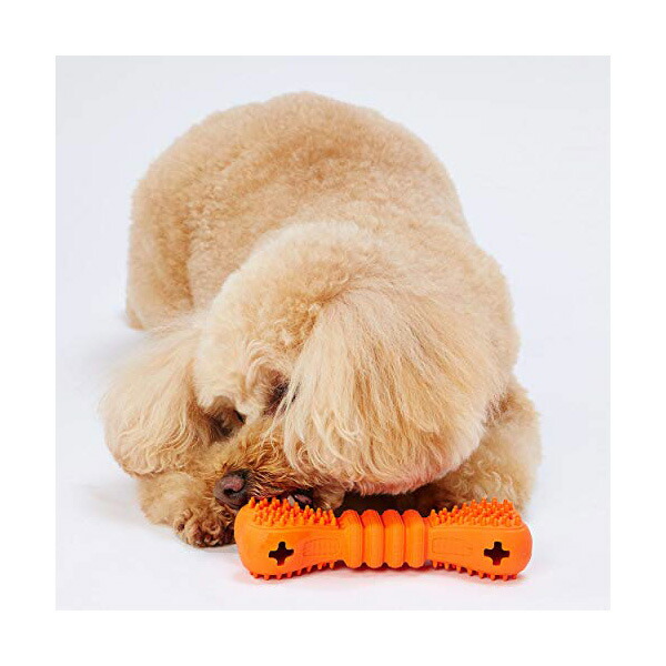 【12個仕かける】 ペティオ 犬用手あそび TREATS LOVER トリーツラバー ボーン S 超小型犬から小型犬 Petio W26476 愛玩動物装具 デイリー 犬手あそび デンタル 飼い犬 骨型 犬用手あそび 長毛犬 全年歳 愛玩動物 運動すること物の具 犬用 手あそび 短毛犬 犬猫装具 手あそび 楽になること原料品