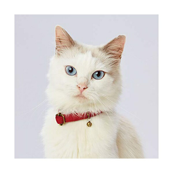 【6個セット】 ペティオ 猫用首輪 necoco ネココ キャットカラー レッド 全猫種 Petio W57811 ペット用品 お散歩 全猫種用 おしゃれ カラー ウェア リード ペット 鈴付き 猫首輪 かわいい 抗菌 鈴付 首輪 安心素材