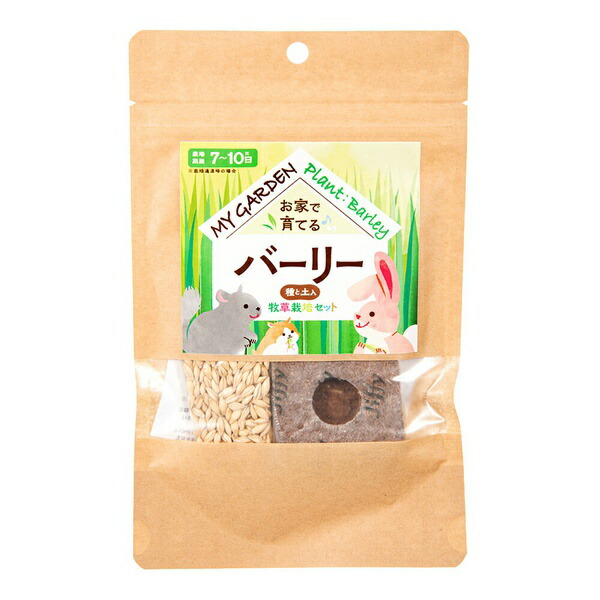 【12個セット】 イースター マイガーデン 牧草栽培セット バーリー