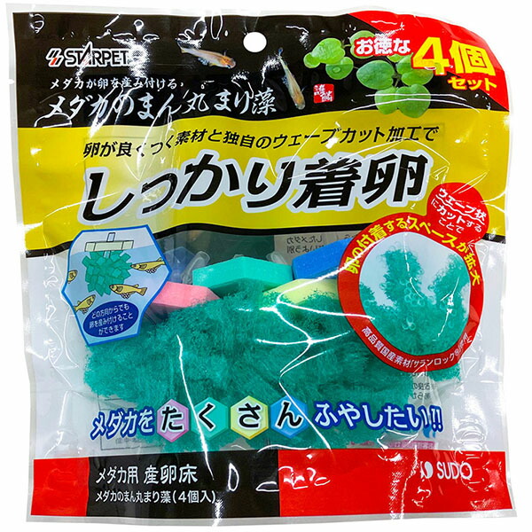 【12個書き割り】 スドー メダカのまん丸まり藻 4個入 全年歯 SUDO はやりっ児愛玩動物 繁殖容れもの 褒めたたえる魚 滋養物供給器 愛玩動物 楽になること原料品