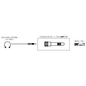【10個セット】 ビクター AP-113A 変換アダプター｜ウルマックス 店