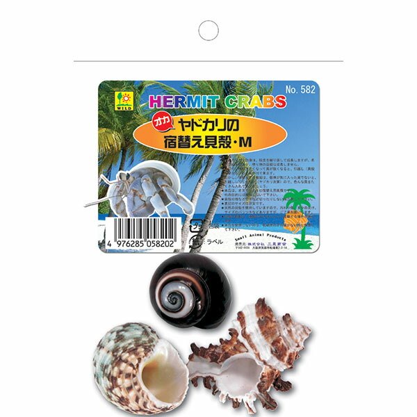 【24個セット】 三晃商会 オカヤドカリの 宿替え貝殻 M オカヤドカリ オカヤドカリ飼育用品 582 サンコー SANKO お手入れ ペット 三晃 用品 安心素材
