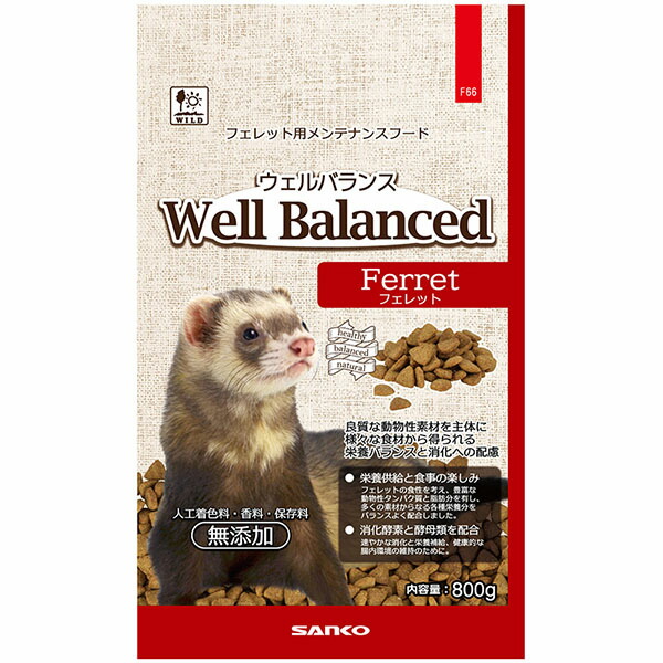 【12個仕掛ける】 三晃人中 ウェルバランス フェレットフード 800g 日本製 フェネットボール ボンネット F66 サンコー SANKO 愛玩動物ボンネット 愛玩動物設備 お兄ちゃん エサ 成年者 小毛の荒物 ペレット 国産 無つけ加える 愛玩動物 もの言う花 田の実 安全性のある原材料