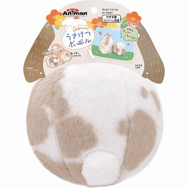 【12個仕掛ける】 ドギーマンハヤシ たれ耳お父ちゃんのうさけつどんぶり鉢 うさぎ用遊び道具 ミニアニマン ドギーマン 小毛の荒物 グッズ うさぎ 愛玩動物 遊び道具 楽になること原料品