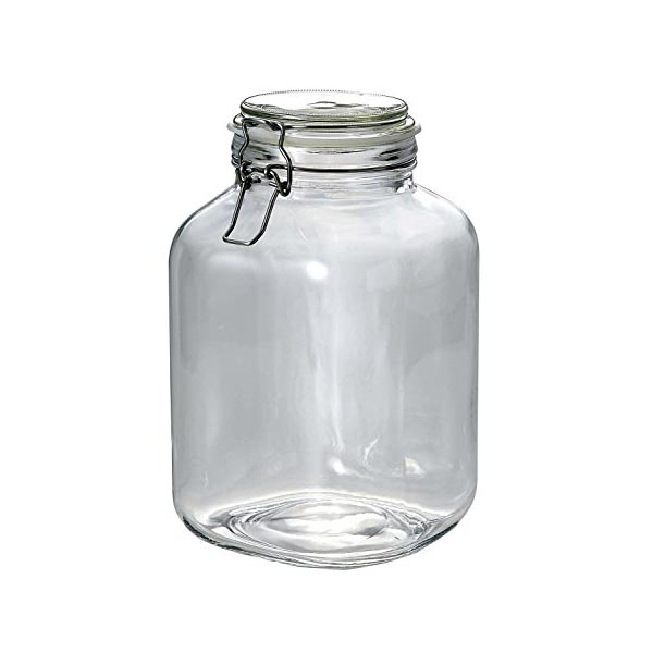 【10個セット】 パール金属 梅酒瓶 果実酒びん 3L 3,000ml ガラス製 角型 保存 ビン イタリアーナ L-10083.0L 容器 ジャム ボトル 保存容器 キッチン用品 おしゃれ 便利 透明 漬物 保存瓶 ガラス シンプル ピクルス 保存ビン 高品質