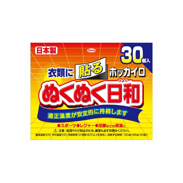 【12個セット】 ホッカイロ ぬくぬく日和 貼るレギュラー30個 興和 カイロ