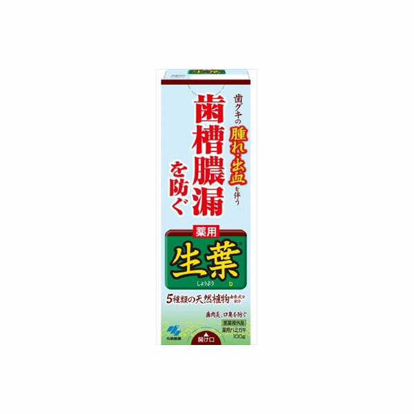 【12個セット】 生葉b 小林製薬 歯磨き