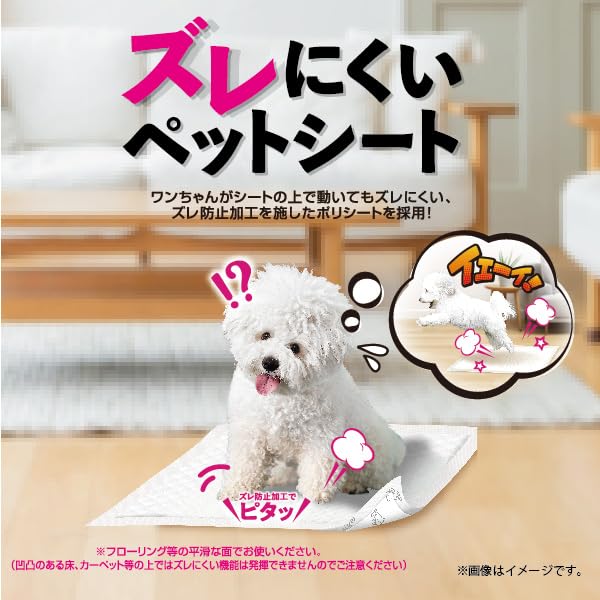 【6個セット】 シーズイシハラ クリーンワン ズレにくいペットシート正方形60cm×60cm 30枚