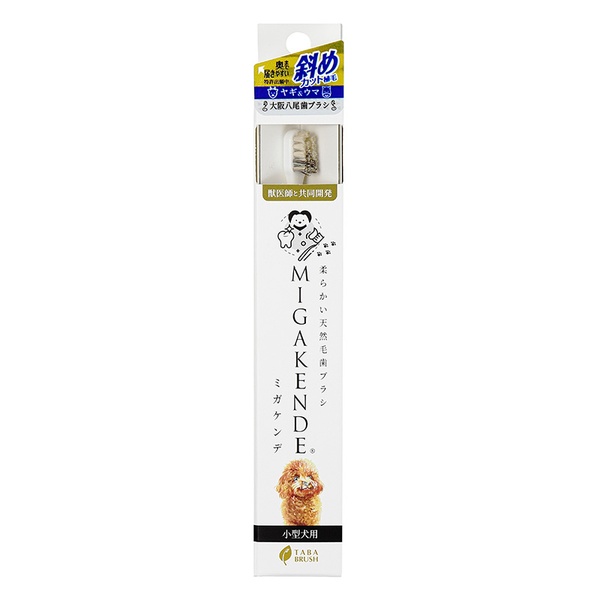 【6個書き割り】 mt designs パステル色の生まれながら毛歯刷子 MIGAKENDE (ミガケンデ) 曲がった撥ねのける植毛