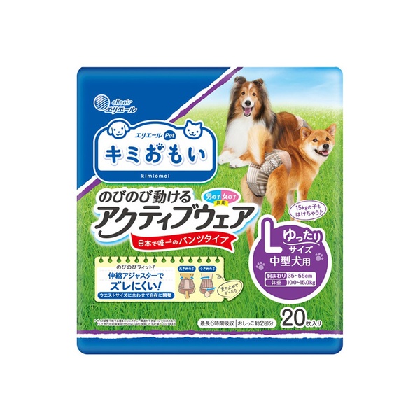 【6個仕掛ける】 大王製紙 キミおもい のびのび動ける積極的お召しもの Lゆったり 20枚