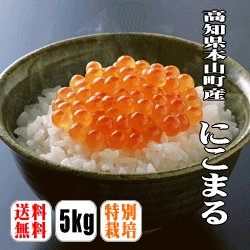 【送料無料】【令和7年産】【特別栽培米】土佐天空の郷にこまる　5kg 【沖縄県・離島は別途送料】【お米日本一コンテスト最優秀賞受賞米】【ズームインサタデー】
