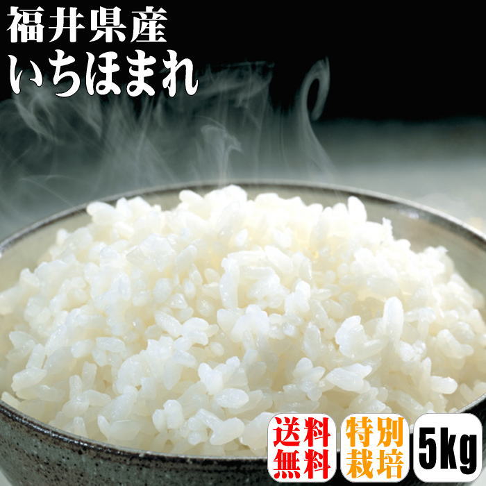 新米入荷！【特別栽培米】【令和1年産】福井県産 いちほまれ 5kg  30年デビュー 福井県 いちほまれ 特別栽培米 満天★青空レストラン しゃべくり007