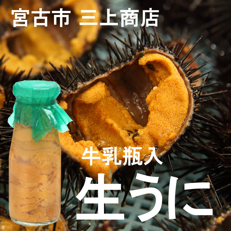 新商品 生うに 牛乳瓶入り 150g １本 ミョウバン不使用 三陸産 宮古市 三上商店