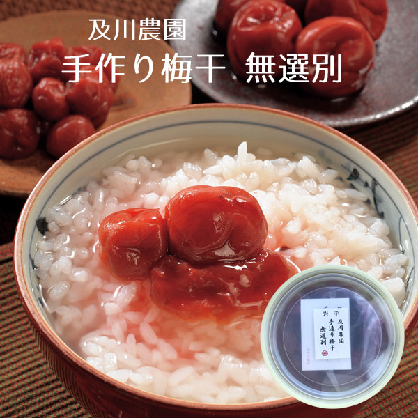 昔ながらのすっぱい梅干し 及川農園 手造り 梅干し 無選別 家庭用 お得 ご飯のお供