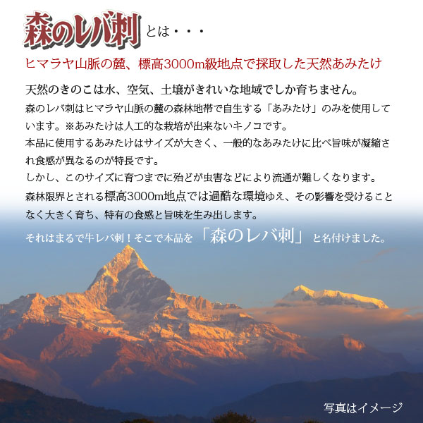 森のレバ刺とは