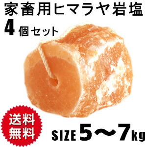 アニマルソルト 5-7kg 4個セット 家畜用ヒマラヤ岩塩 ロープ付き