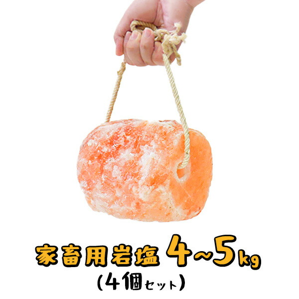 ＼マラソン限定PT5倍★4日20時～10日1:59／ 家畜用 ヒマラヤ 岩塩 4-5kg　4個セット 【アニマルソルト】【特大】【お徳用サイズ】【送料無料】 ロープ付き 動物 家畜 牛 豚 馬 羊 ヤギ ペット 塩分 補給 熱中症対策