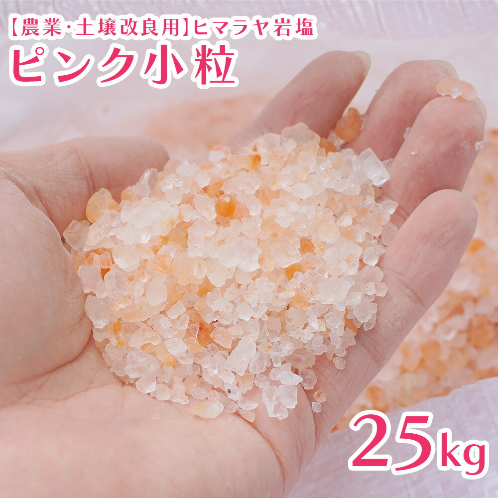 ヒマラヤ　岩塩　クリスタル　25kg　送料無料※特別価格 食用】クリスタルソルト 高級ヒマラヤ岩塩 クリスタル岩塩