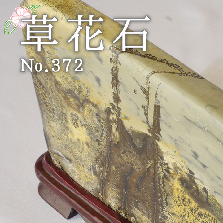 ＼マラソン限定PT5倍★19日20時～26日1:59／ 草花石 No.372 観賞用 鉱石 天然 天然石 原石 インテリア 風水 占い パワーストーン スピリチュアル お守り ピクチャーストーン｜健康とリラックスの通販 梅研本舗