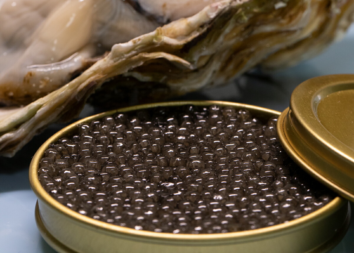 楽天市場 ドイツ産キャビア Caviar 高級食材 フレッシュ オショートルキャビア100ｇ ユニバーサルストア